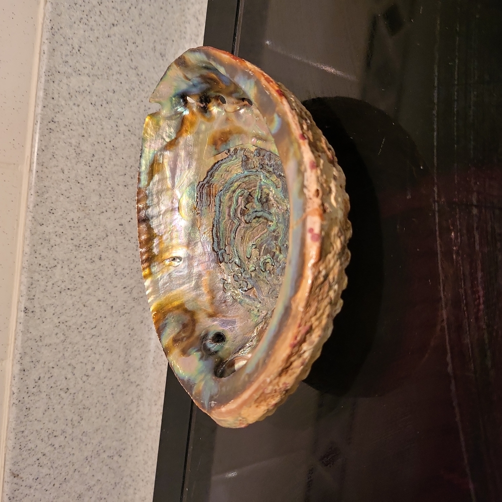 Vintage Beautiful Abalone Shell 6" - Picture 3 of 6